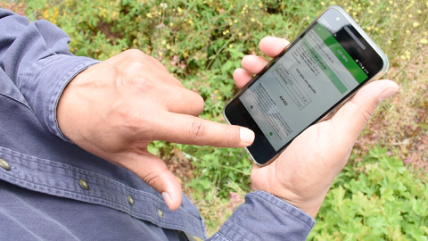 image of hand holding app