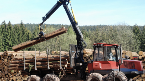 logging truck and logs