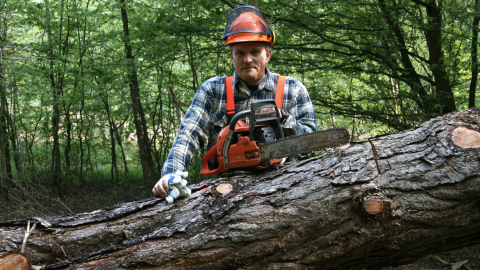 logger with chainsaw