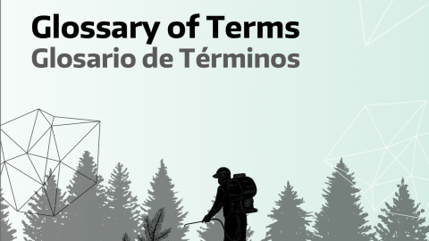 Glossary of Terms for Reforestation