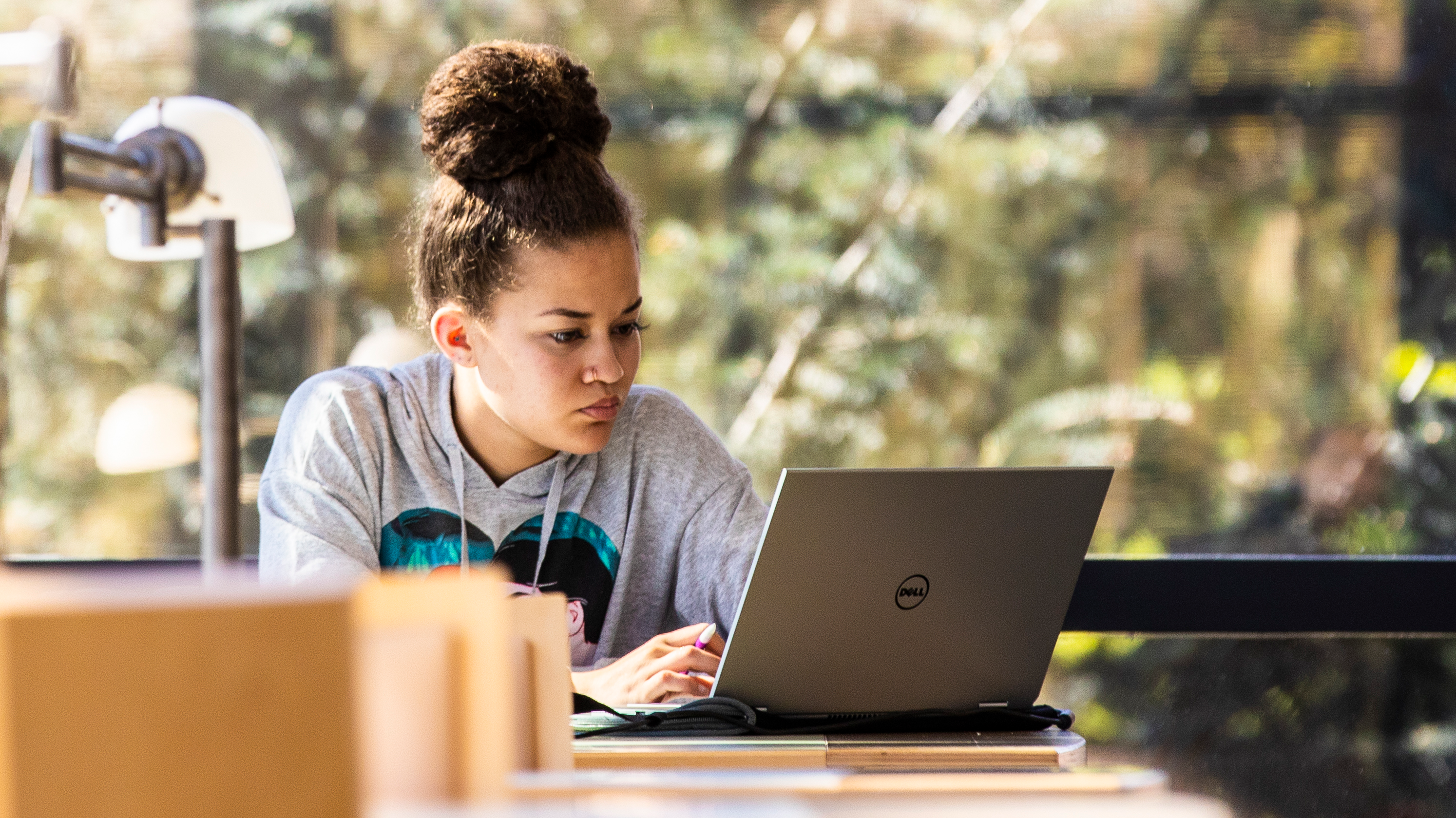 lady studying on laptop