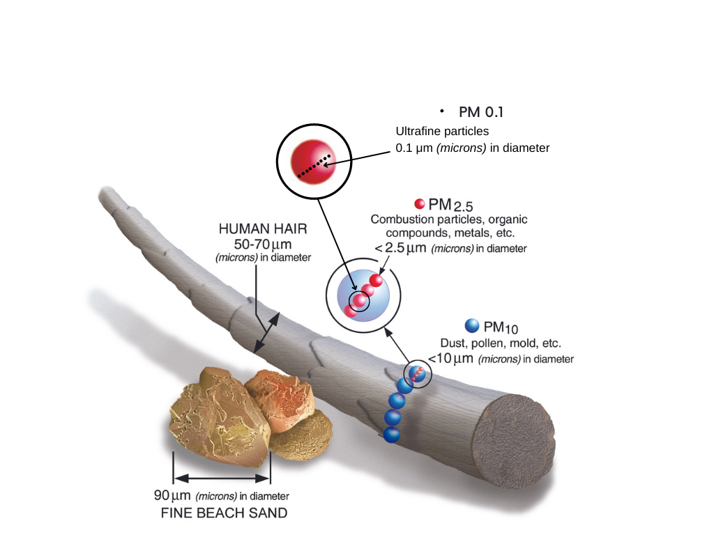 Figure 1. Size Comparisons of Particulate Matter