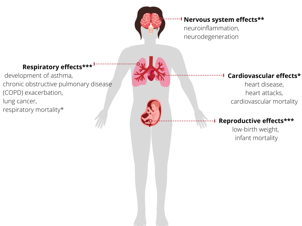 Figure 12. Long-term effects of Fine Particulate Matter
