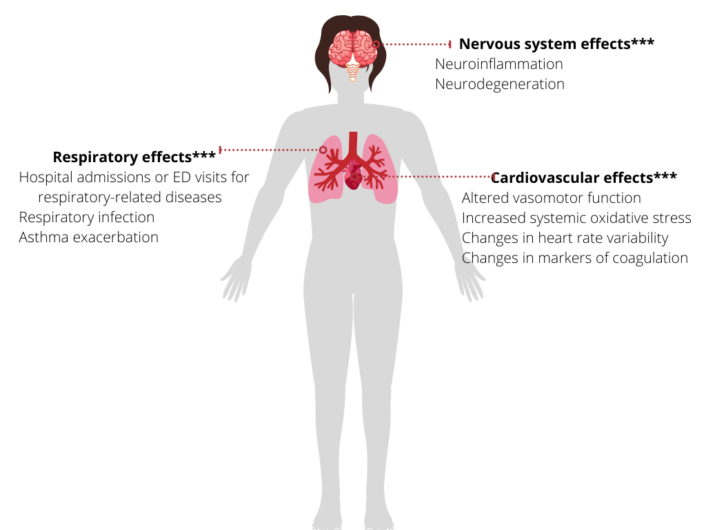 Figure 5. Short-term effects of Ultrafine Particles 