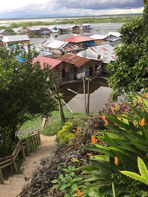 Garden along hillside steps looking out at floodplain in Peru.