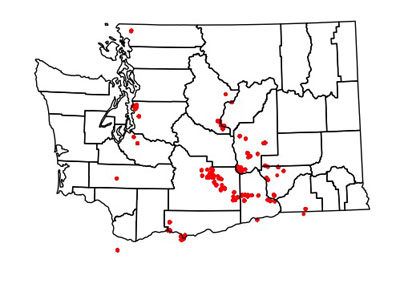 Map of Washington state with red dots showing locations of pesticide app users. Dots are mainly distributed in Central and Southern Washington (Yakima Valley region) and in the South Puget Sound region. 