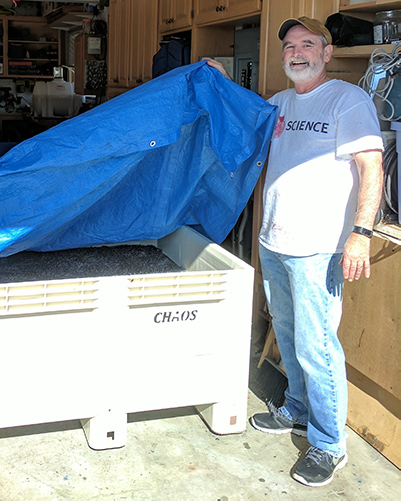 A man in a baseball cap lifts up a blue tarp to show a bin full of wine grapes.