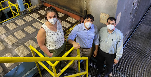 Three people stand in face masks on a staircase.