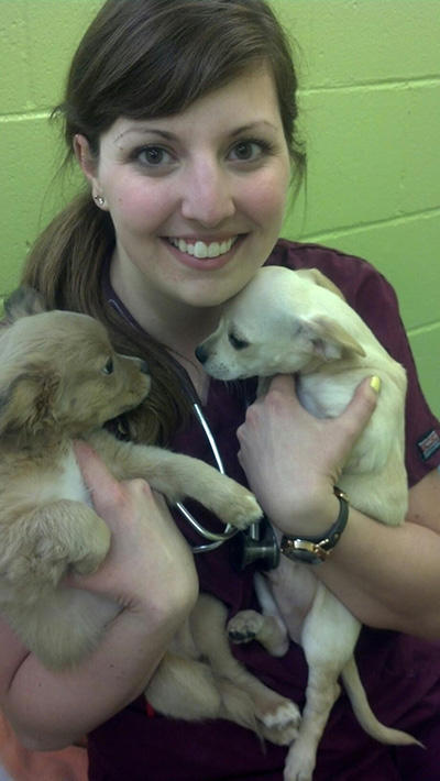 Woman in stethoscope and scrubs holds two puppies in her arms.