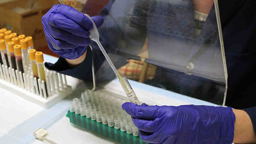 Close up of Hannah Curtis's hands as they extract serum from blood samples to be tested for stress biomarkers.