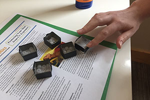 Beads used in the sun exposure experiment. Photo: courtesy of Lisa Hayward Watts.