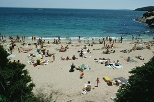 Large crowd of people on a beach