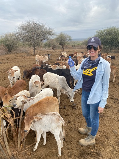 Woman in blue shirt and baseball cap holds vial while standing near herd of cows