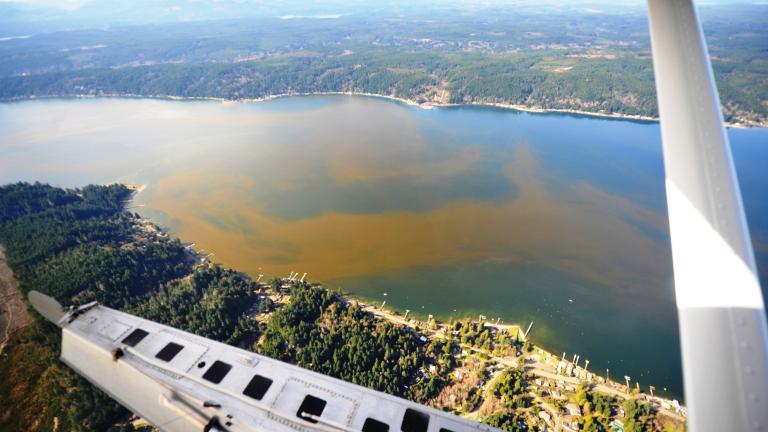 An orange-red algae bloom on the surface of Puget Sound viewed from the air (corner of an aircraft wing is visible).