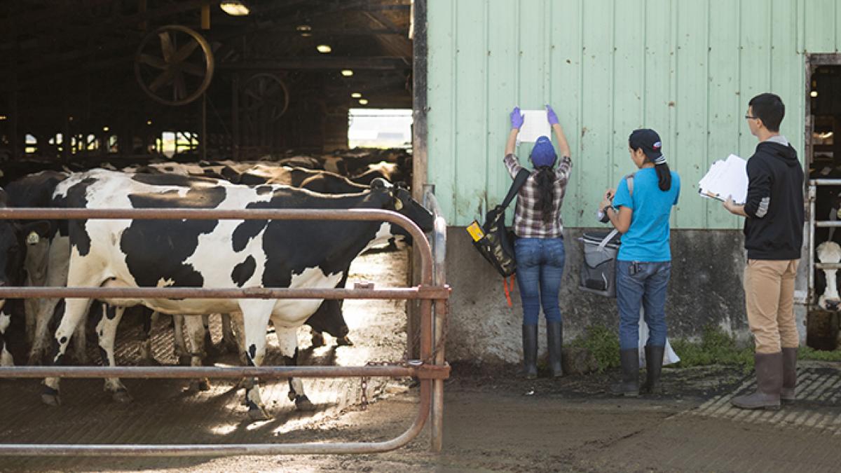 Students doing fieldwork at a farm