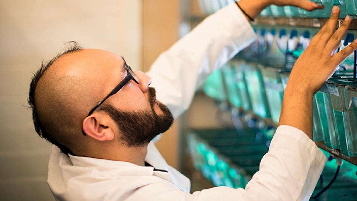 Lab worker putting an item away