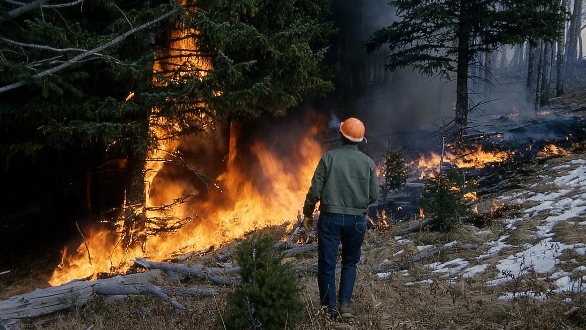 Safety Steps: Wildfires, Power Outages Plague Western States