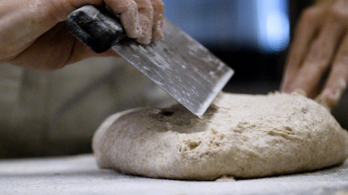 A person (with only their hands visible) holds a pastry knife, about to cut a lump of bread dough.