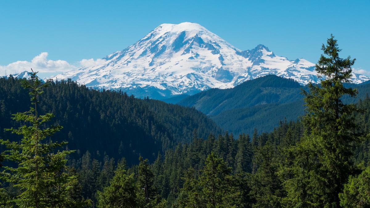 View of a forested landscape with Mount Rainier in the background.