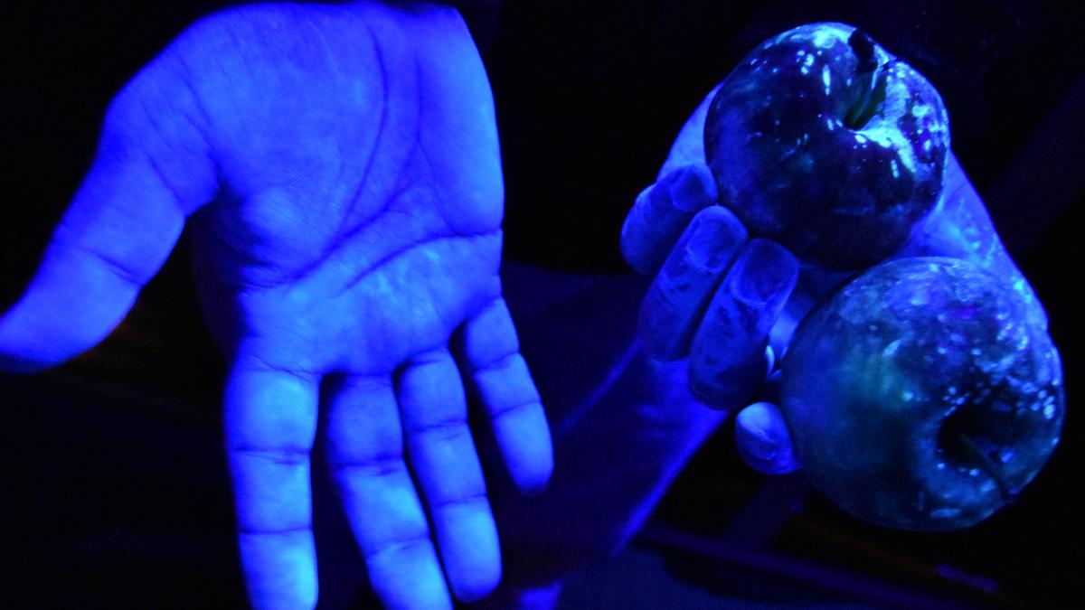 Two hands holding an apple under blue light showing traces of pesticide.