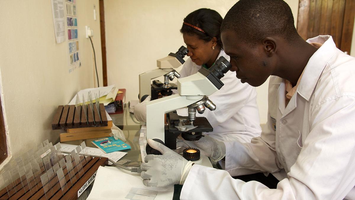 Lab workers look through microscopes at sputum samples.