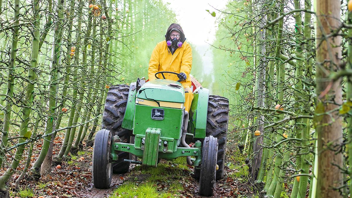 A man wearing an air mask drives a tractor through an orchard.