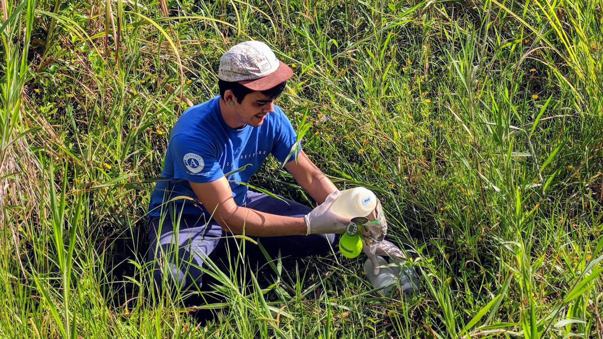 Tyler Gerken, a DEOHS graduate student, holding water sampling bottles in the middle of a field of tall grass.
