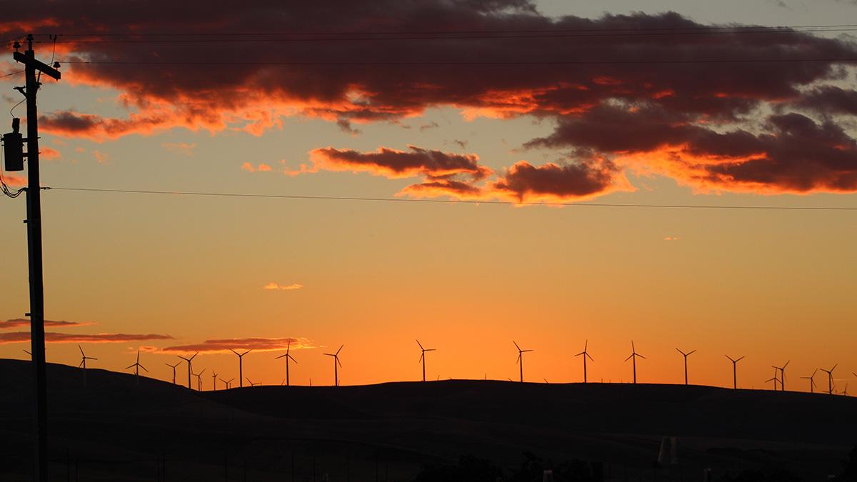 Wind turbines stretch across a hill in Eastern Washington. Photo: Jolayne Houtz.