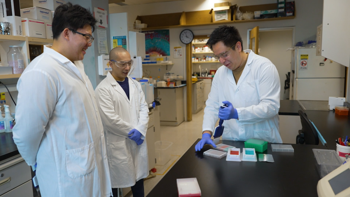 Three men in lab coats stand around a lab bench. The man on the right is using a multichannel micropipet to dispense liquid into a multiwell cell culture plate. 
