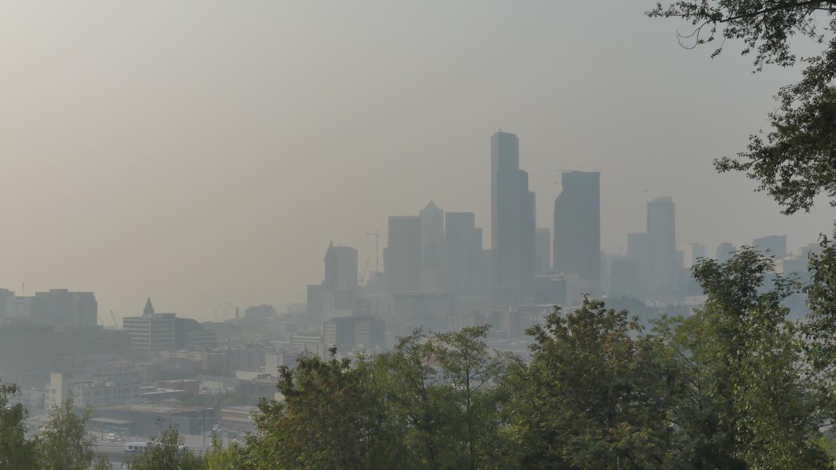 Downtown Seattle in a haze of wildfire smoke with trees in the foreground.