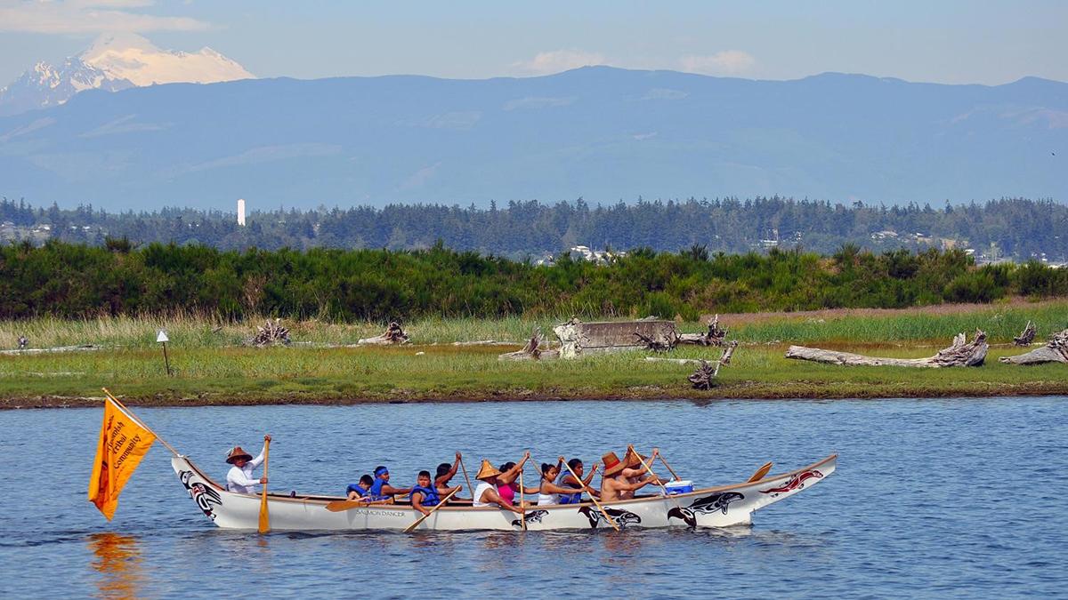 A group of Swinomish Tribe members paddles a traditional canoe near a shoreline.