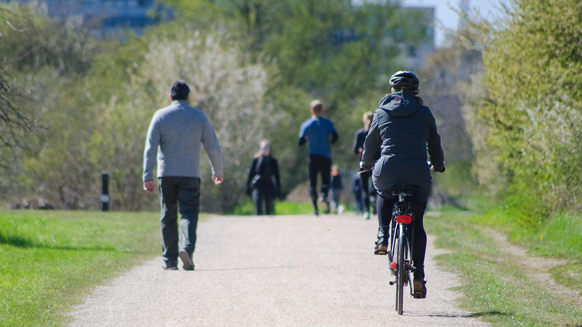 Walkers, joggers and bikers share a walking path in a park.