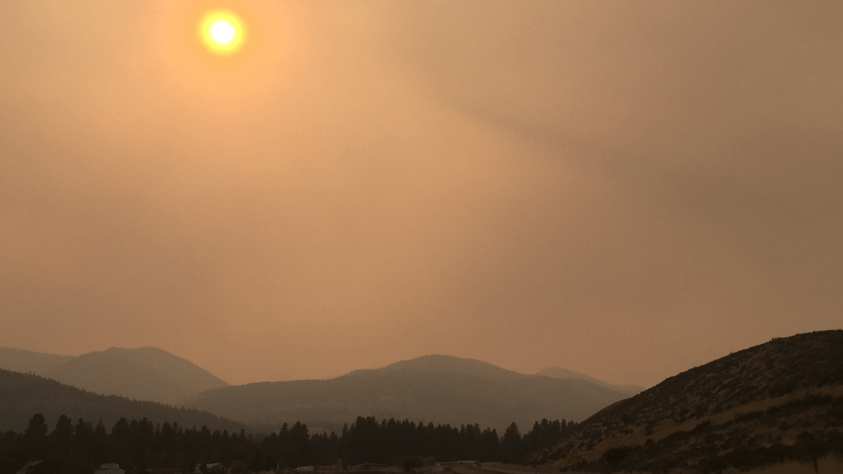 Hazy skies with a halo around the sun above mountains, evergreens and a hillside.