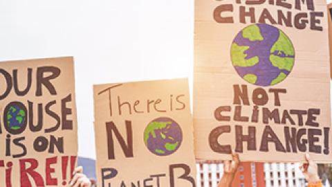 climate signs at protest