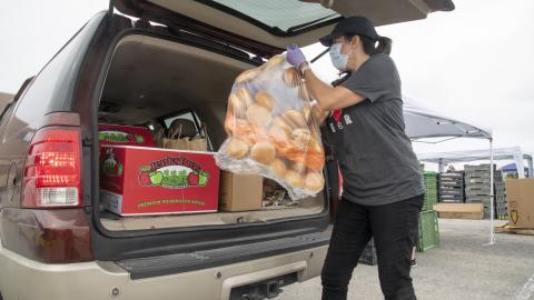 Person in parking lot loading a bag of rolls into the back of a car filled with boxes and bags of food, including a box of Washington apples.