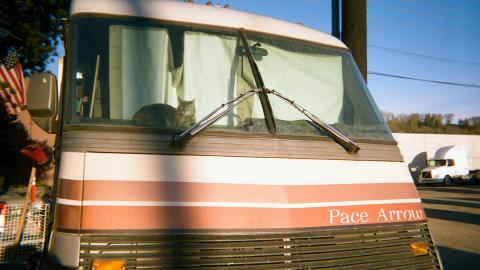 A cat snoozes in the sun on the dashboard of a motorhome.