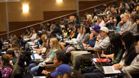 UW students listen to a lecture in a lecture hall.