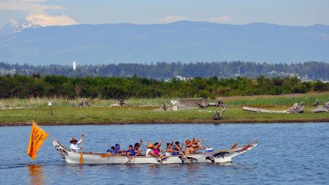 A group of Swinomish Tribe members paddles a traditional canoe near a shoreline.