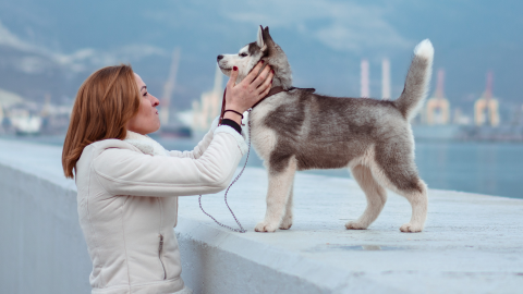 A woman purses her mouth while touching the neck of a husky dog standing on a harbor wall.