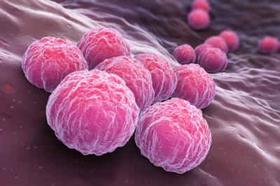 An illustration of the bacteria that causes chlamydia, which appears as pink blobs on a wavy surface.