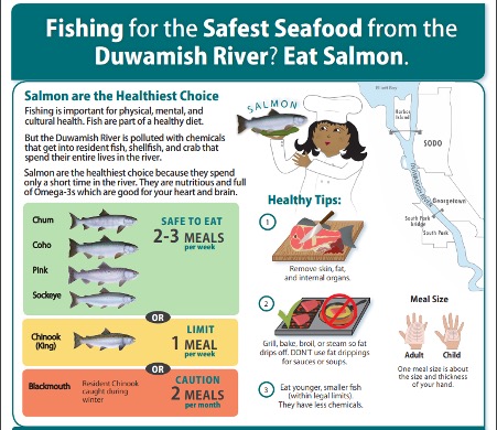 Graphic of Duwamish Salmon Advisory