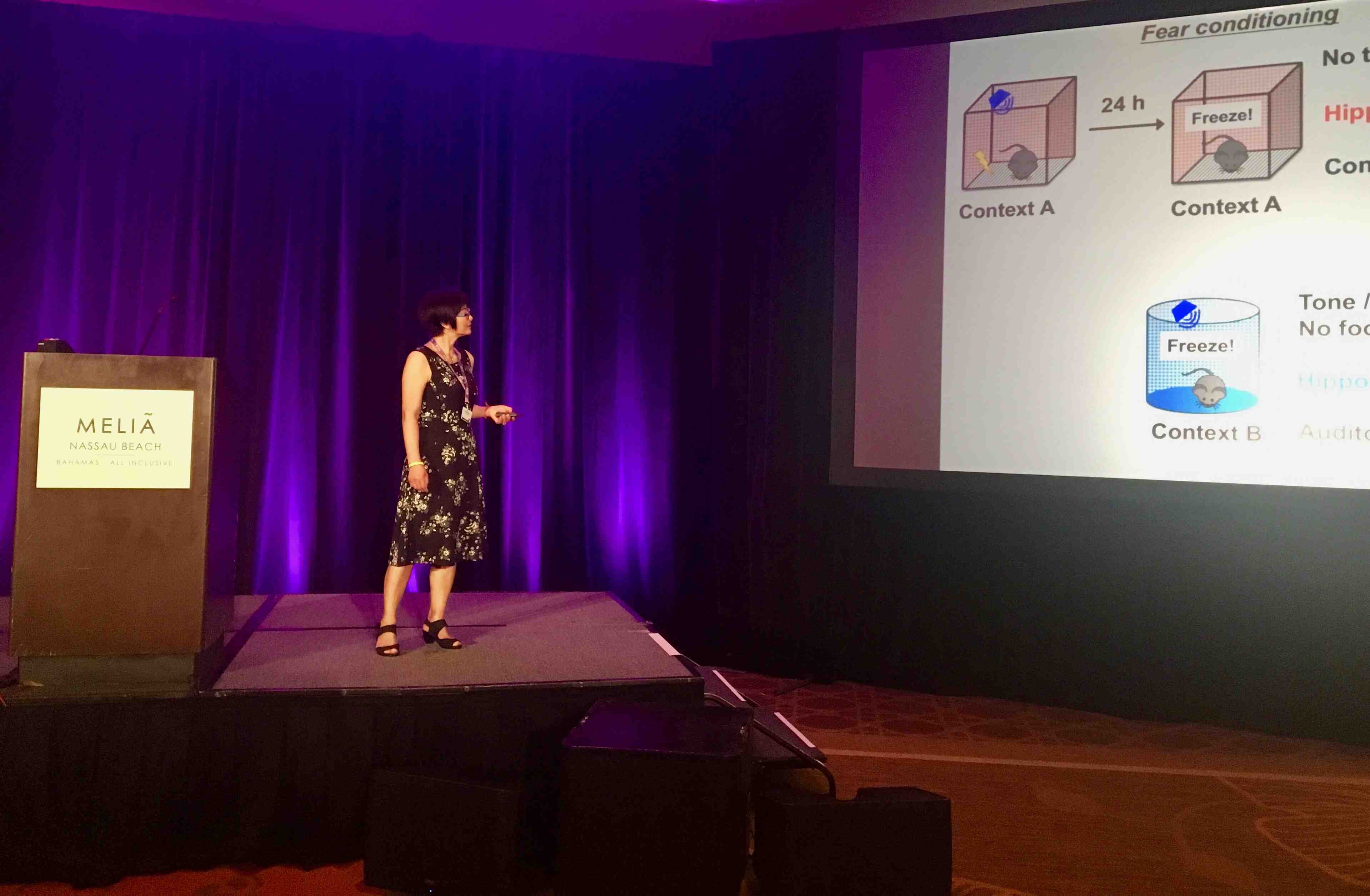 Dr. Zhengui Xia presents stands next to a podium in front of a slide that represents her work.