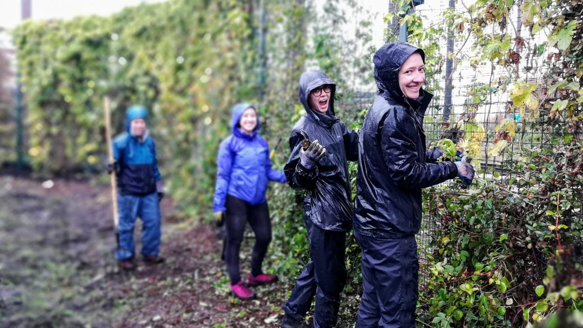Four volunteers work in raingear on a fence entwined by vines