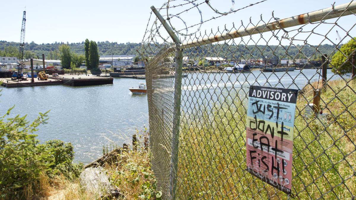 A chain link fence with a posted fish advisory on which a vandal has spray painted "Just Don't Eat Fish"