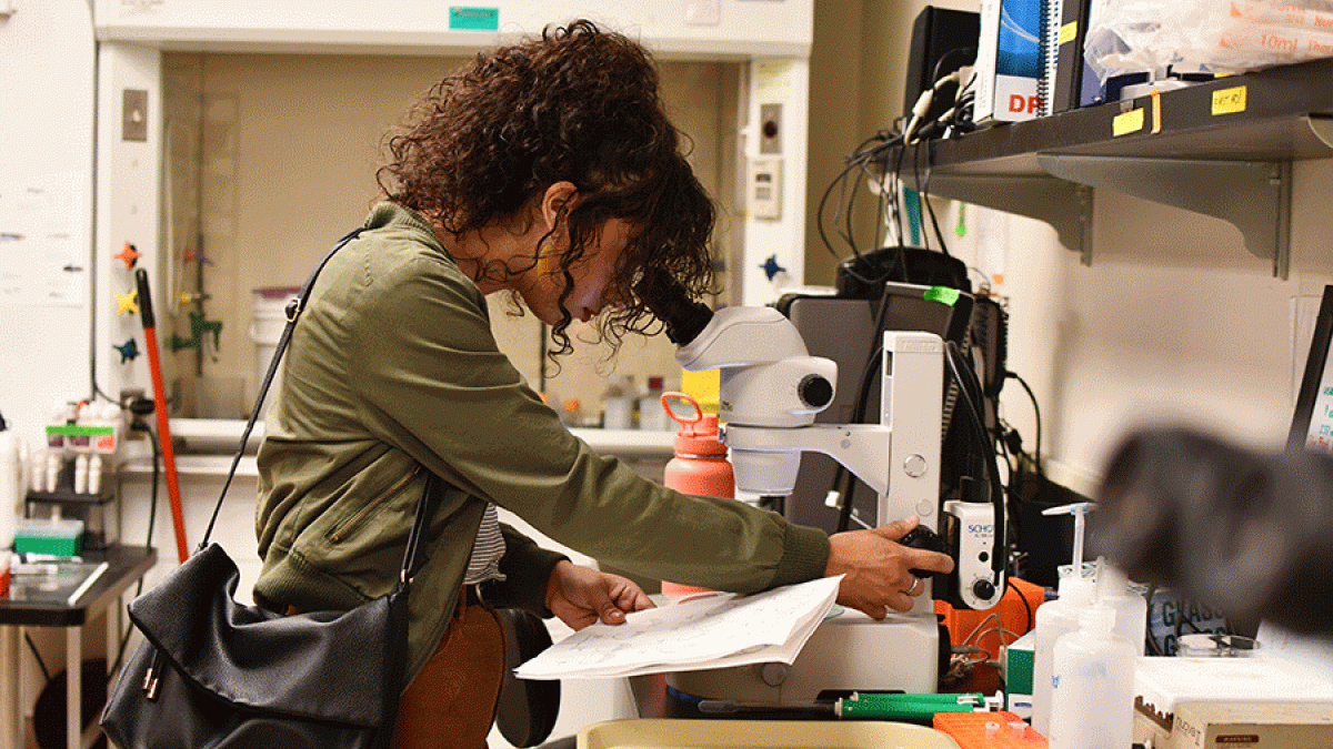 A young woman peers into a microscope in a lab setting