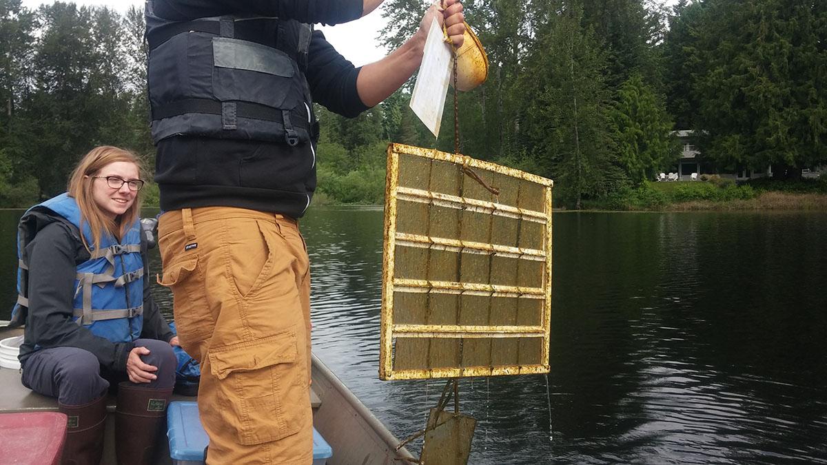 a researcher in a boat pulls a sampling device out of the water