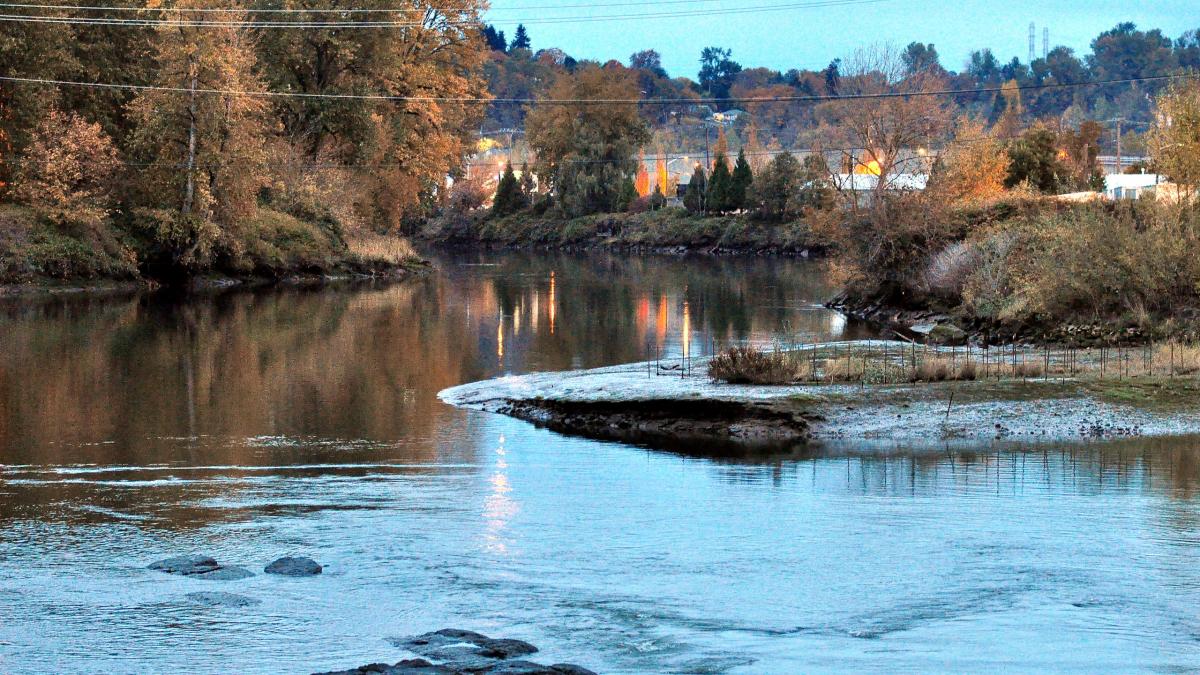 The Duwamish River with fall foliage