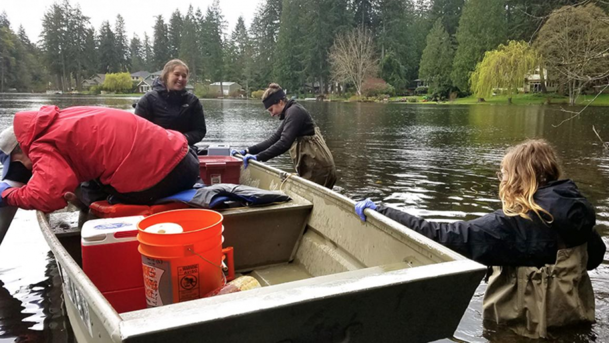 Two researchers in waders push a boat away from a lake shore. On the boat are two other researchers and some equipment. One of the researchers wears a red jacket and peers over the edge of the boat.