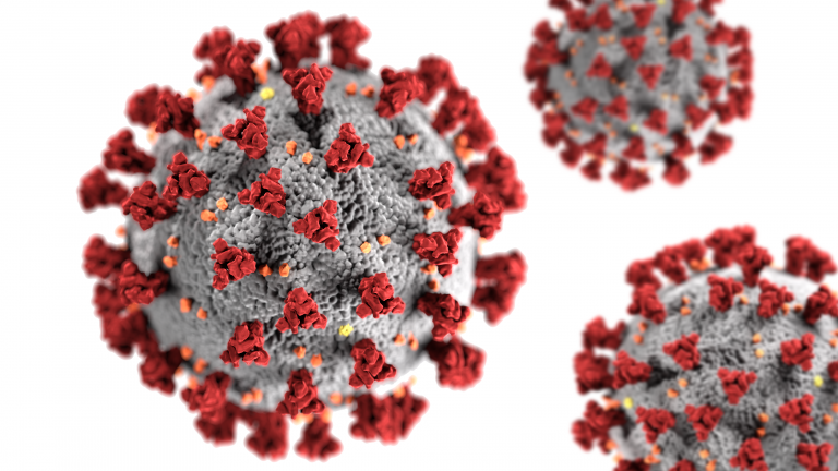 coronavirus